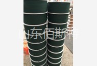 重慶草莓视频在线观看完整圓帶3